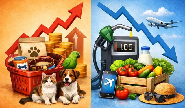 Fiyatı en çok artan ve azalan ürünler: İşte Mart ayının zam şampiyonu!