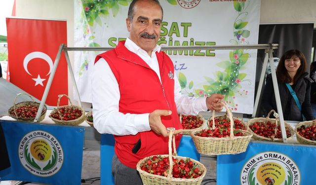 Geçen sene hasret kaldığımız kiraz bu sene sofraların baş tacı olacak