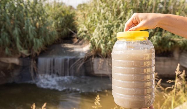 Gediz Nehri’nde kirlilik alarmı