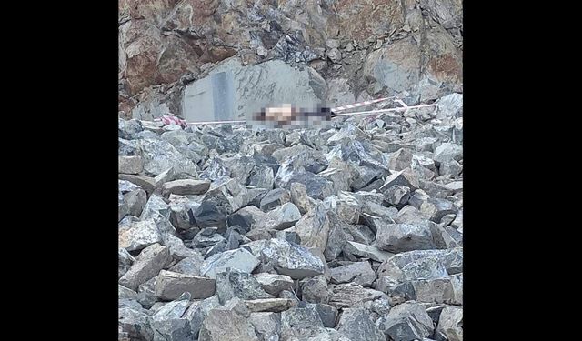 İşe başladıktan bir gün sonra hayatını kaybetti