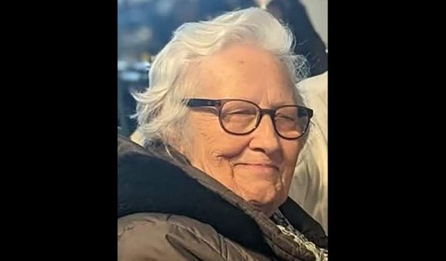 İzmir'de yaya geçidinde tırın çarptığı kadın hayatını kaybetti