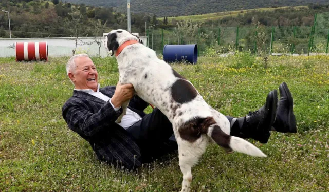 İZSİAD’dan iş dünyasına çağrı: “Her fabrikaya barınaktan bir köpek”