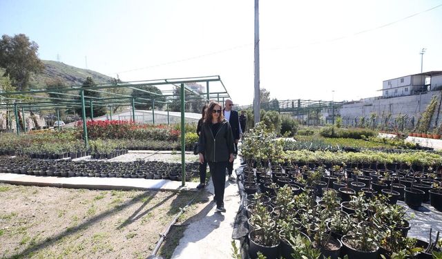 Karşıyaka’da yeşil üretim atağı: Bitkiler belediye serasında yetiştiriliyor