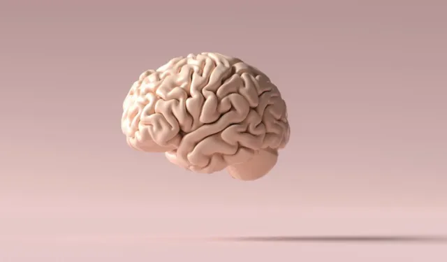 Korkuyu “kapatan” teknoloji: PTSD tedavisinde yeni dönem