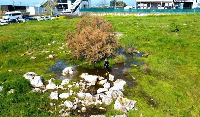 Torbalı’da vektörle mücadele seferberliği