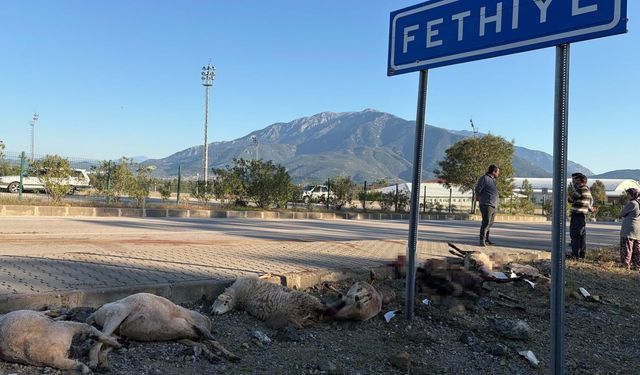 Yola çıkan koyun sürüsüne motosiklet çarptı... Acı bilanço
