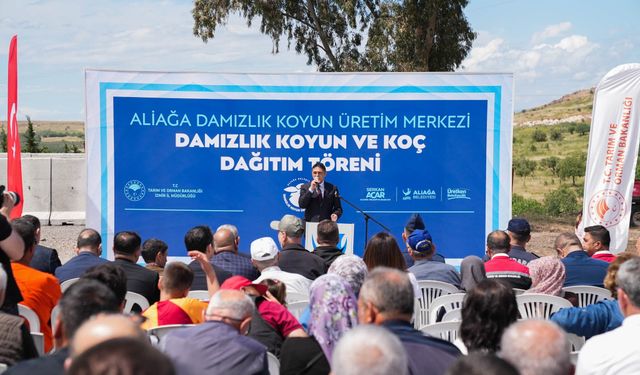 Aliağa'da üreticilere damızlık dağıtımı yapıldı