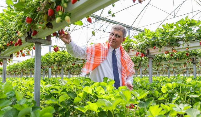 İzmir'in Tarım Master Planı'nda sona gelindi
