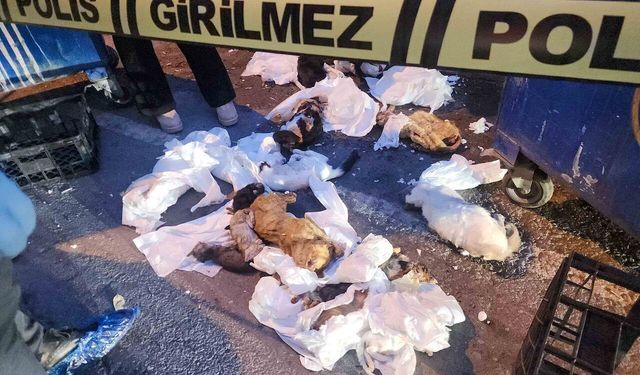 Başkan Duman: Bu vicdansızlığın sorumluları hukuk önünde hesap verecek!
