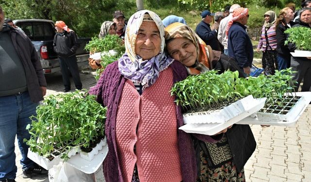 Bornova’da üreticiye 150 bin yazlık fide desteği