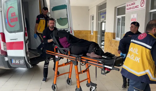 Bostana giren inek faciaya yol açtı! Tartışmada 1 kişi öldü