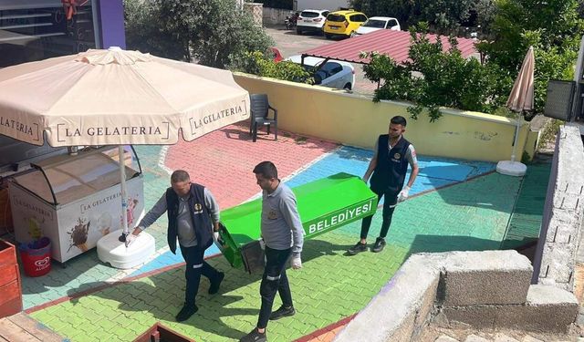 Hostelde kalan adam odasında ölü bulundu