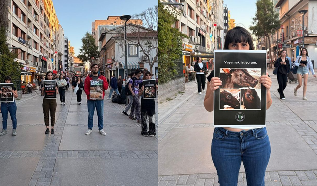 İzmir Vegan Platformu’ndan “Bayrama evet, kurbana hayır” eylemi