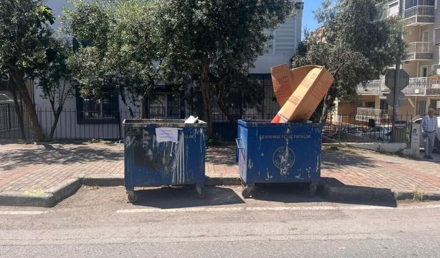 İzmir’de çöp konteynerinde bulunan 33 ölü kediyle ilgili veteriner gözaltında