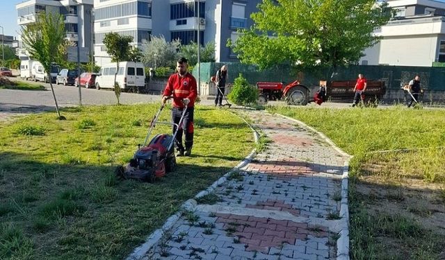 Menderes'in 44 mahallesinde yabancı otlarla mücadele sürüyor