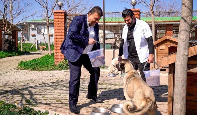 Seferihisar Belediyesi, Veteriner İşleri Müdürlüğü’nde dijital sisteme geçti