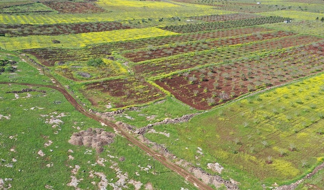 Taş Tepeler kazılarına Japon ve Çinli ekipler katılıyor