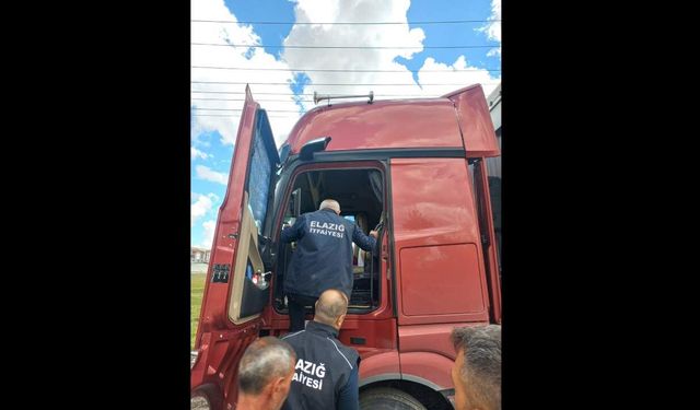 Tır şoförü aracının içerisinde ölü bulundu