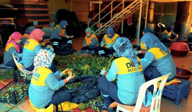 Yerel üretimden sofralara: Doğal ürünler Didimliler ile buluşuyor