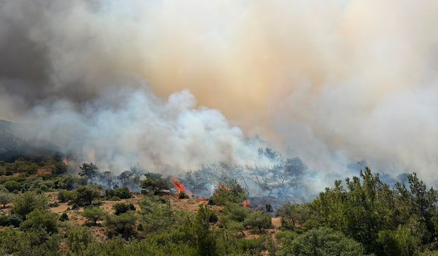 Dikili'de yangın büyüyor: 4 uçak, 5 helikopterle müdahale