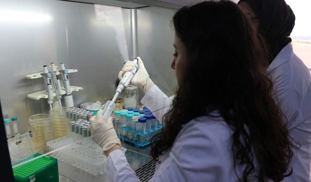 Akademisyenlerden bor ve gümüş içerikli yerli yara bakım ürünü