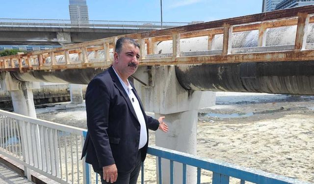Başdaş'tan CHP'ye 'Meles' çağrısı: Kalıcı ve bilimsel çözümler üretin!