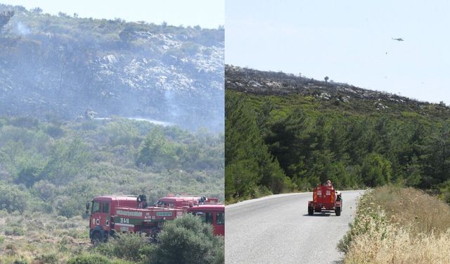 Urla'da makilik alanda yangın: Ekipler havadan ve karadan müdahale etti