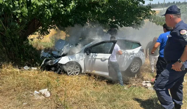 İzmir'de araç ağaca daldı: Can pazarı yaşandı, çok sayıda ağır yaralı var