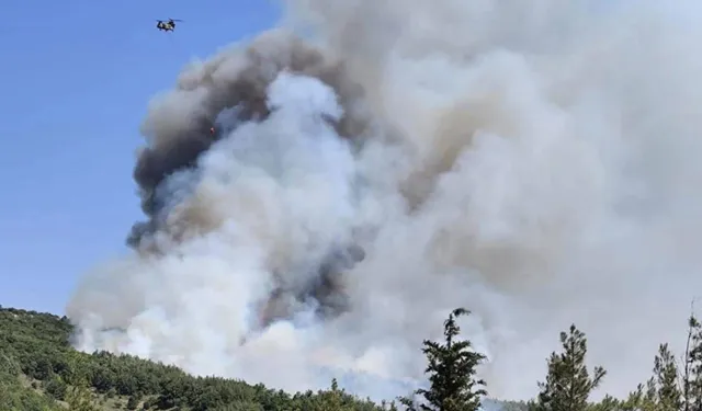 İzmir'de çöplükten makilik alana sıçrayan yangına müdahale ediliyor