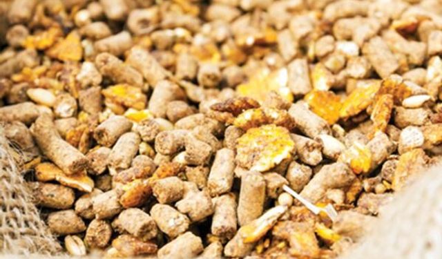 KURU OT VE KESİF YEM ALIMI YAPILACAK