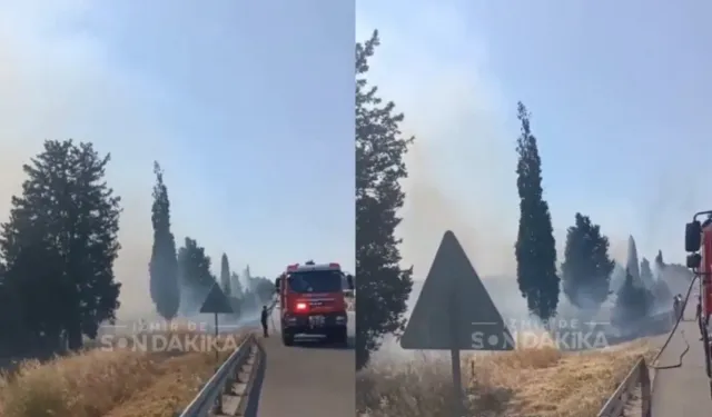Torbalı Ayrancılar'da korkutan yangın! Otluk alan dumanlara teslim oldu