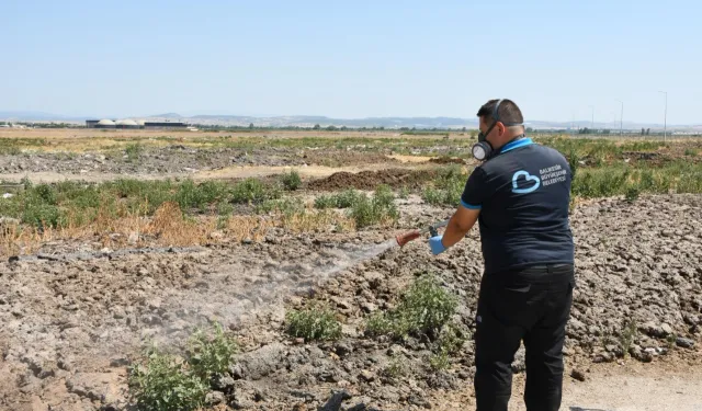 Balıkesir'de haşereyle mücadele 20 ilçede yıl boyunca sürüyor