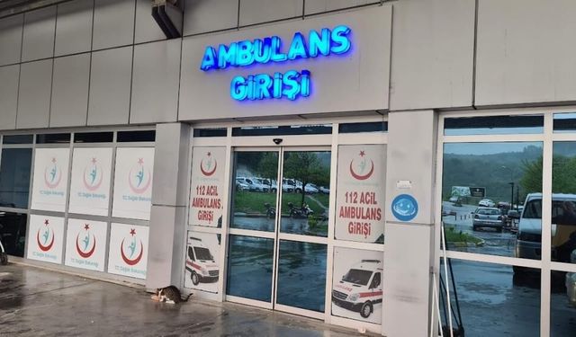 Bir anda fenalaştı! Eşek arısı sokan kadın yoğun bakıma kaldırıldı