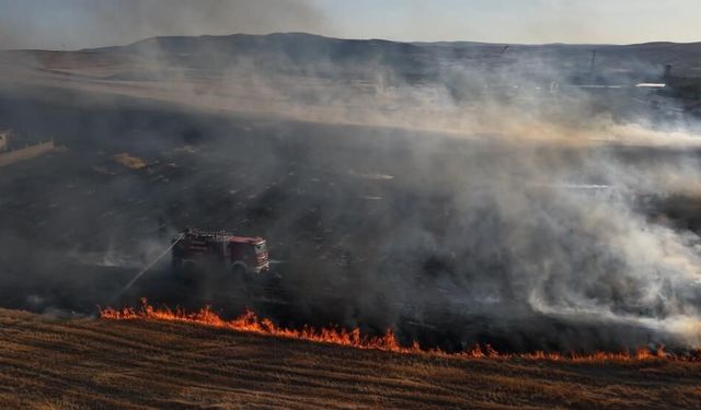 Bir izmarit, 400 dönümü kül etti!