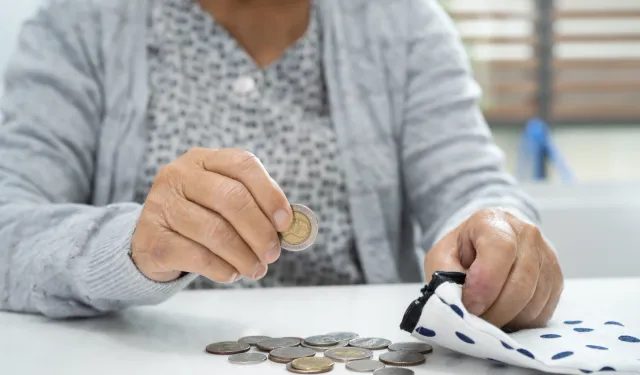Bireysel Emeklilik Sistemi (BES) Nedir ve Nasıl Yönetilir?