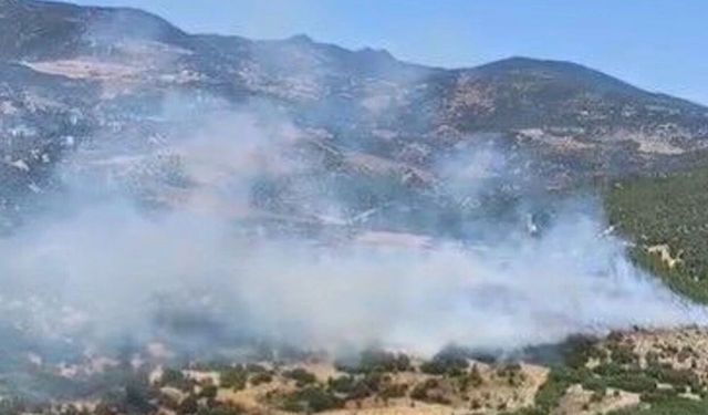 Bornova'da orman yangını: Havadan ve karadan müdahale sürüyor