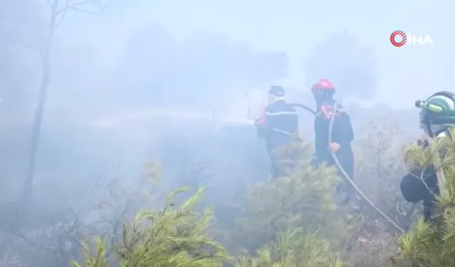 Cezayir'de orman yangınları can aldı: 6 kişi hayatını kaybetti
