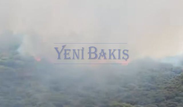 İzmir Dikili Bademli'de yeniden yangın çıktı