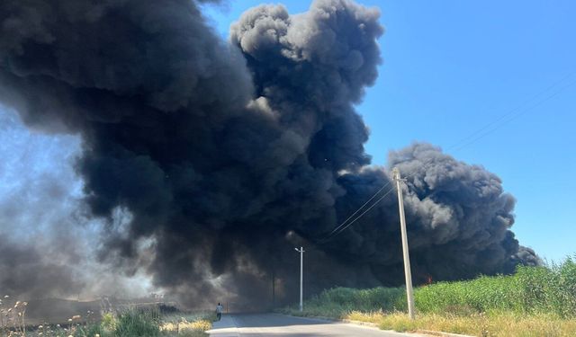 İzmir Menemen'de geri dönüşüm fabrikasında korkutan yangın