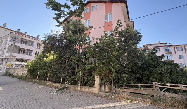Ihlamur toplamak isterken facia: Emekli öğretmen hastaneye kaldırıldı