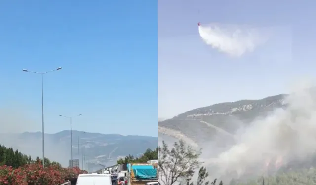 İzmir'de Buca'da orman yangını: Çevreyolu ulaşıma kapatıldı