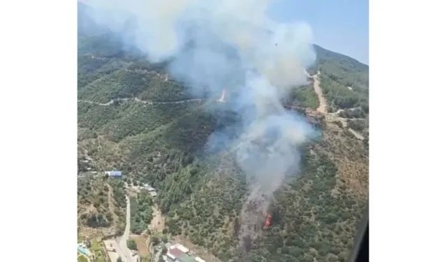 İzmir'de orman yangını! Havadan ve karadan müdahale sürüyor