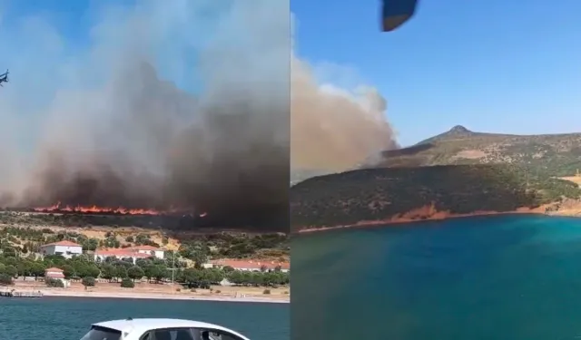 İzmir Foça'da orman yangını: Havadan ve karadan müdahale sürüyor
