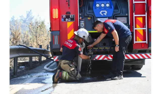 İzmir İtfaiyesi dumandan etkilenen bukalemunu kurtardı