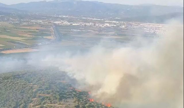 İzmir Torbalı’da orman yangını: Havadan ve karadan yoğun müdahale sürüyor!