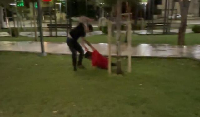 Parkta kavga kamerada: Arkadaşını yere yatırıp defalarca yumrukladı