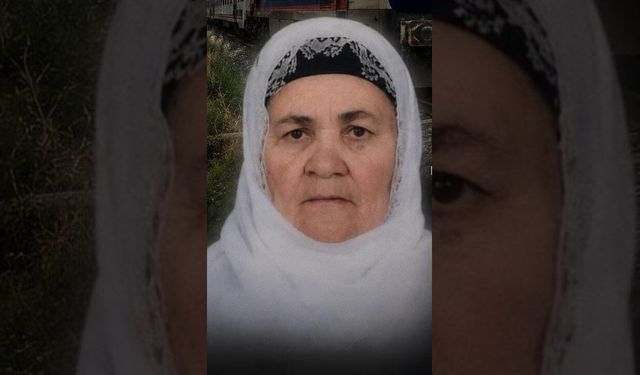 Yük treninin çarptığı 66 yaşındaki kadın yaşamını yitirdi