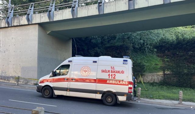 Yol kenarında erkek c*sedi bulundu! Olayla ilgili geniş çaplı soruşturma başlatıldı