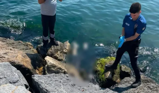 3 kardeşin ölümünde kahreden 'İzmir' detayı: 10 yıl önce de aynı acıyı yaşamışlar!