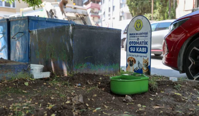 Buca Belediyesi’nden sokak hayvanlarına can suyu